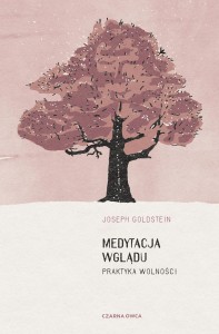 Medytacja wglądu