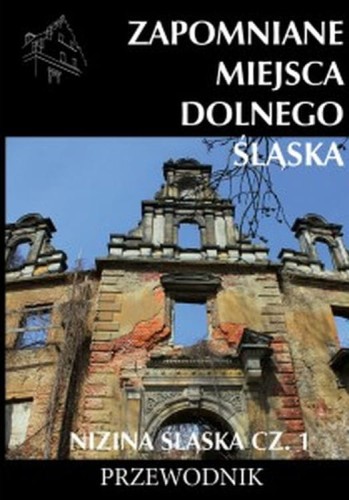 Kryminały przedwojennej Warszawy Agent policyjny