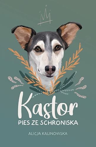 Kastor. Pies ze schroniska