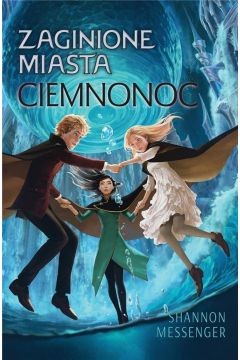 Zaginione Miasta. Ciemnonoc (6)