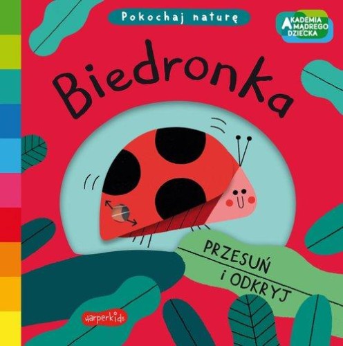 Akademia mądrego dziecka. Pokochaj naturę. Biedronka