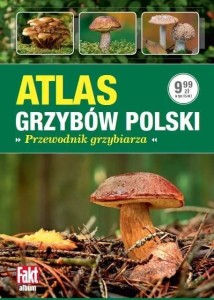 Atlas grzybów Polski. Przewodnik grzybiarza