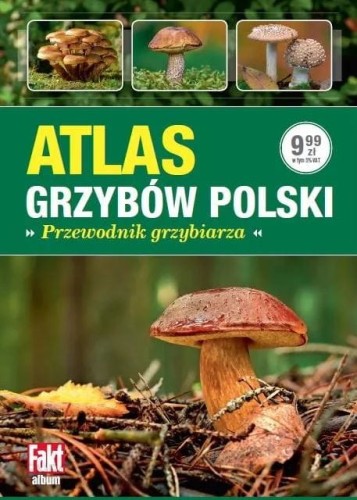 Atlas grzybów Polski. Przewodnik grzybiarza