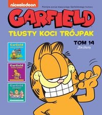 Garfield (tom 14) Tłusty koci trójpak