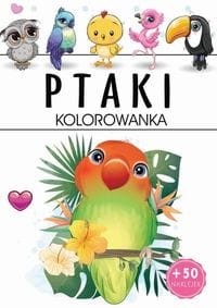 Kolorowanka Ptaki  (z naklejkami)