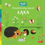 Akademia mądrego dziecka. Niesamowity spacer. Łąka