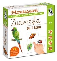 Montessori Zwierzęta tu i tam
