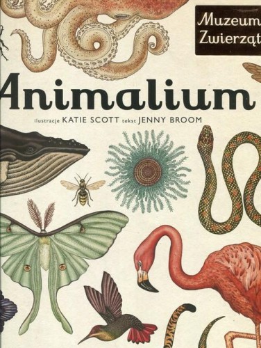 Animalium. Muzeum Zwierząt