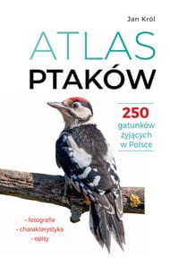 Atlas ptaków 250 gatunków żyjących w Polsce