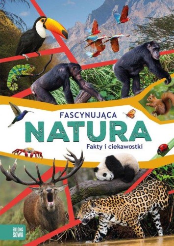 Fascynująca natura Fakty i ciekawostki
