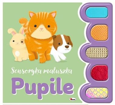 Pupile. Sensoryka maluszka (książka sensoryczna)