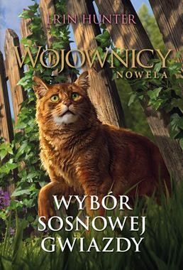 Wojownicy. Nowela (12) Wybór Sosnowej Gwiazdy [zapowiedź 06.10]