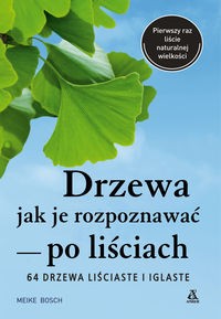 Drzewa. Jak je rozpoznawać po liściach