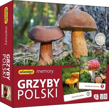 Memory - Grzyby Polski - GRA
