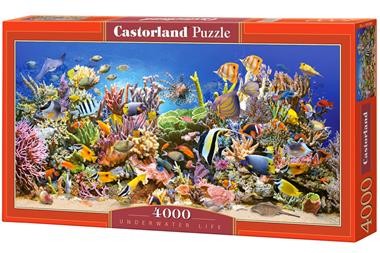 Puzzle 4000 Underwater Life