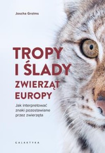 Tropy i ślady zwierząt Europy. Jak interpretować znaki pozostawiane przez zwierzęta