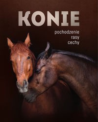 Konie Pochodzenie Rasy Cechy