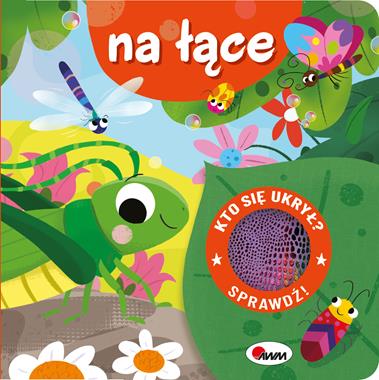 Kto się ukrył? na łące