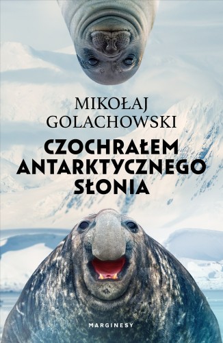 Czochrałem antarktycznego słonia