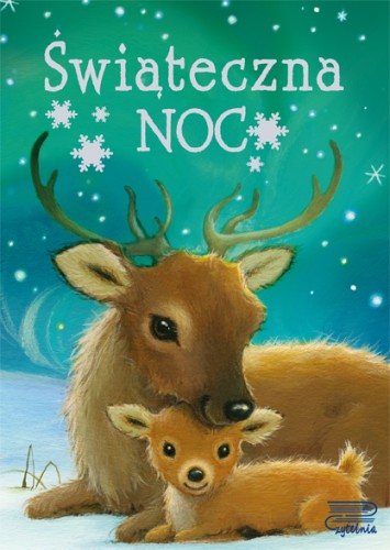 Świąteczna noc