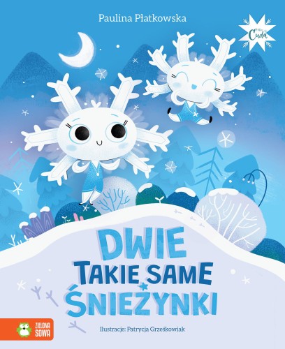 MikroCuda. Dwie takie same śnieżynki